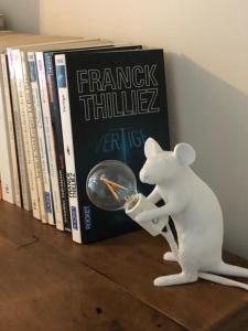a white mouse holding a magnifying glass next to books at Nid douillet avec vue in Lyon