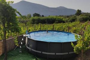 una vasca idromassaggio nel mezzo di un vigneto di Casa Vacanze Gorropu Tiscali a Dorgali