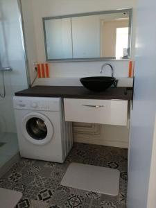 een badkamer met een wastafel en een wasmachine bij Bel appartement au bord de l'Allier classé 4* in Vichy