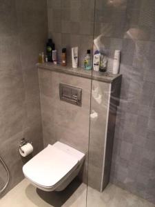 a bathroom with a toilet and a shower stall at Appartement La Tulipe in La Soukra