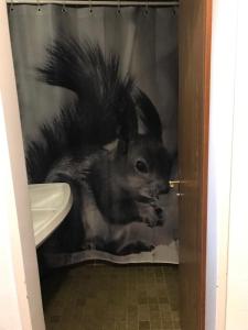 un rideau de douche avec une photo d'un rat sur lui dans l'établissement Derby 25, à Arosa