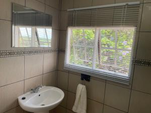 a bathroom with a sink and two windows at The Farm Shop in Groutfontein