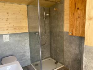 a shower with a glass door in a bathroom at Zinipi Retreat Mohrenhof in Geslau