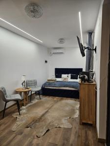 1 dormitorio con 1 cama, TV y alfombra en Malina Glamping en Vama