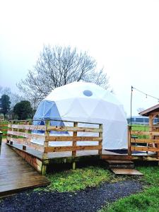 巴利马尼Little River Glamping的相册照片