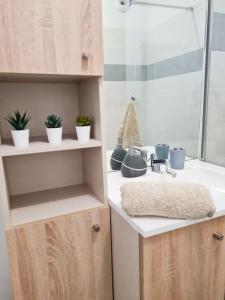 a bathroom with a sink with potted plants on the counter at Appartement avec parking privé et terrasse proche Nice/Monaco in La Trinité