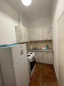 uma pequena cozinha com um frigorífico branco e um lavatório em Maria Apartments em Kavala