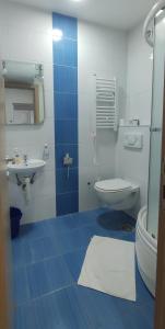 Apartman 1A JollyKop في كوباونيك: حمام ازرق وابيض مع مرحاض ومغسلة