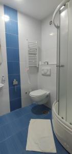 Apartman 1A JollyKop في كوباونيك: حمام ازرق وابيض مع مرحاض ودش