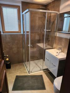 a bathroom with a shower and a sink at Peatr Seppa Hof in Nauders