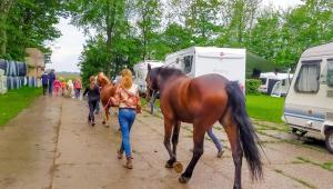 a group of people walking horses down a dirt road at Boerderijcamping de Hinde in Dronten