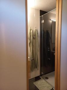 a walk in closet with a glass door at Chalet Bergdohle in Rosswald