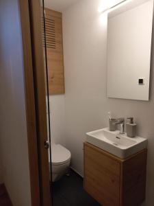 a bathroom with a sink and a toilet and a mirror at Chalet Bergdohle in Rosswald