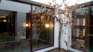 un árbol en un jarrón junto a una ventana en La Hospedería - El Provencio, en El Provencio