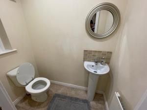 ein Badezimmer mit einem WC, einem Waschbecken und einem Spiegel in der Unterkunft Hillview House in Belfast