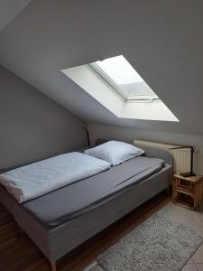 a bedroom with a bed with a large skylight at Heidi´s Lerchennest in Weikersheim