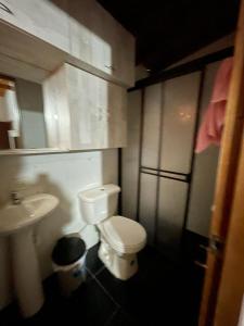 La salle de bains est pourvue de toilettes et d'un lavabo. dans l'établissement Hermoso y amplio apartamento en Niquia, à Bello