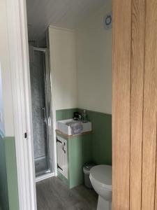a green bathroom with a toilet and a sink at The Lily Pod in New Abbey