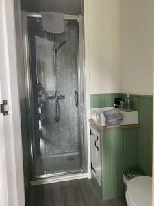 a bathroom with a shower and a toilet at The Lily Pod in New Abbey