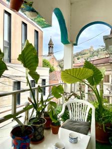 une chaise blanche assise sur un balcon avec des plantes dans l'établissement Hello Fox GuestHouse, à Tbilissi