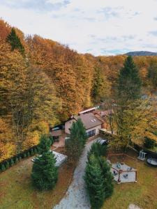 an aerial view of a house in the woods at Teodor Chalet in Avrig