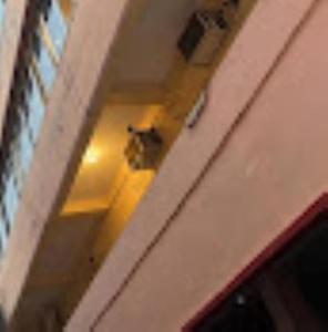 un perro está mirando por una puerta en Hotel Bhaba Laxmi,Bhubaneswar, en Bhubaneshwar