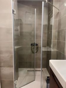 a shower with a glass door in a bathroom at SUNSKII Apartments in Brzeće