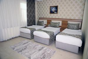 凡城的住宿－迪梅特公園酒店，带三张床和地毯的房间