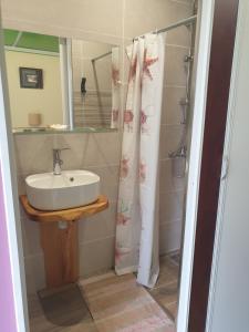 een badkamer met een wastafel en een douchegordijn bij Chez Nou ... in Salazie