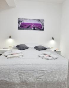 una camera con un letto bianco con due cuscini di GUEST HOLIDAY BETTOLA a Reggio Emilia