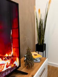 Φωτογραφία από το άλμπουμ του Reset Apartman Divčibare σε Divčibare