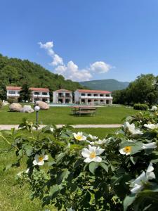 a bush with white flowers in front of a building at Bran & Denise Residence in Costermano +57 photos