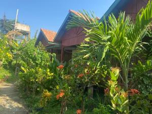 a house with a bunch of plants in front of it at King Kong Restaurant and Bungalows in Muang Không