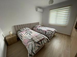 1 Schlafzimmer mit 2 Einzelbetten und einem Fenster in der Unterkunft Kevi ‘s place in Tirana