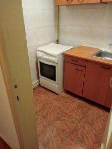 a small kitchen with a stove and a sink at Romana City Center Studio in Bucharest