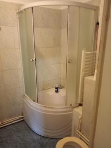 a bathroom with a shower with a toilet in it at Romana City Center Studio in Bucharest