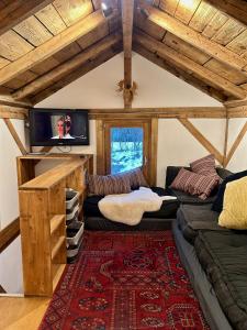 Gorgeous Mini-Chalet Chamonix في شامونيه مون بلان: غرفة معيشة مع أريكة وتلفزيون على سقف