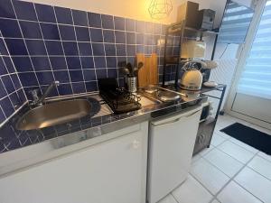 a kitchen with a sink and a counter top at Le Duo de la Foret - Logement F1 in Sahurs