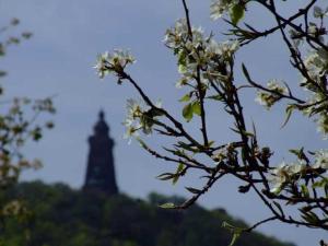 una torre en la distancia con un árbol con flores en Ferienhaus Hofmann Hainrode, 