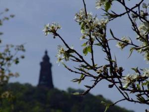 una torre in lontananza con un albero fiorito di Ferienhaus Hofmann Hainrode a Hainrode Altre 30 foto