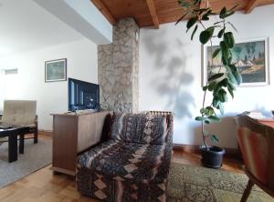 un soggiorno con sedia e TV di Nikolic Apartment a Leskovac