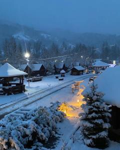 比卡兹Complex Adora的夜间积雪覆盖的村庄 更多50张照片