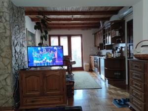 Kuchyň nebo kuchyňský kout v ubytování Nikolic Apartment