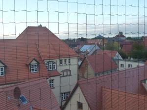 a group of houses with red roofs at Ferienwohnung DZ Blesse Allstedt in Allstedt