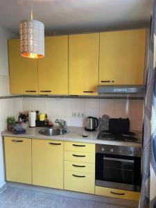 Küche/Küchenzeile in der Unterkunft Attraktives Apartment/Innenstadt