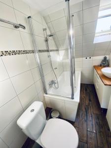 a bathroom with a toilet and a shower and a sink at Apartment SCHLEUSENTOR - Ferienwohnung Maisonette in Rostock