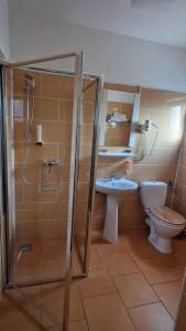 a bathroom with a shower and a toilet and a sink at Pensiunea Toma in Ploieşti