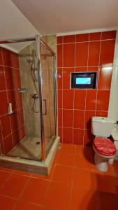 a red tiled bathroom with a shower and a toilet at Pensiunea Toma in Ploieşti +18 photos
