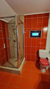 a red tiled bathroom with a shower and a toilet at Pensiunea Toma in Ploieşti