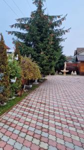 a brick road with a tree in the background at Pensiunea Toma in Ploieşti